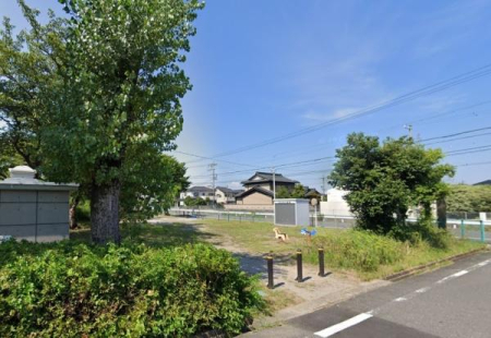 ӊ yӂ̊X݁zaF541u