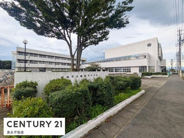 ӊ ywZzsϖkwZF1733u