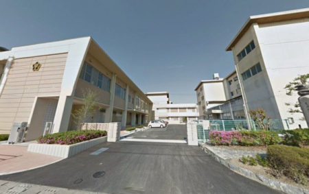 ӊ ywZz_sԍ⏬wZF781u