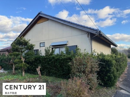 ���̑����n -