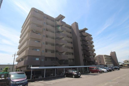 ���̑����n -