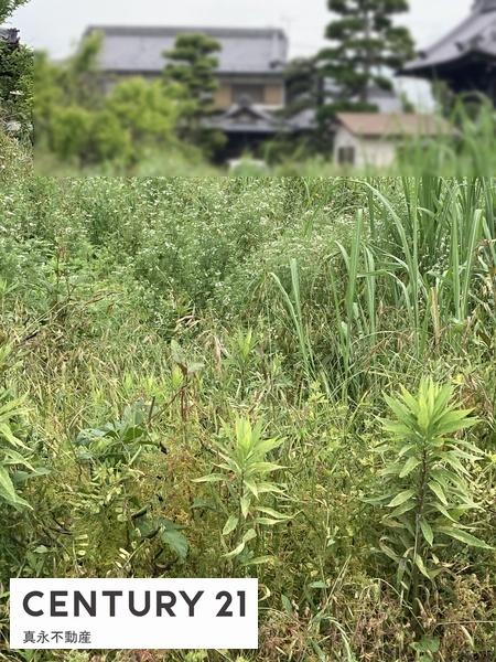 ���̑����n �ڂ�������������]�̕��͂��ГX���ւ��z�����������I