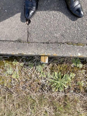 ���̑����n -