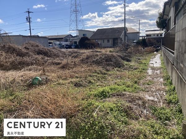 ���n�y�n�ʐ^ -