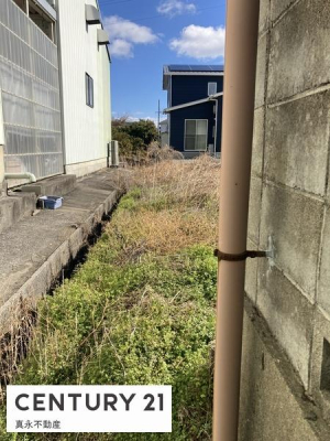 ���̑����n -