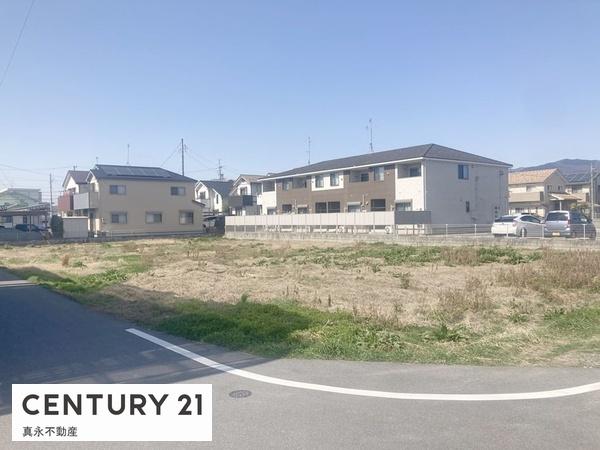 ���n�y�n�ʐ^ -