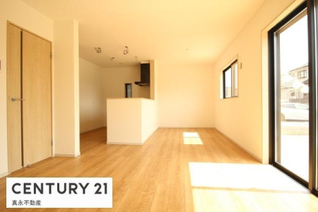 ���d�l�ʐ^(���r���O�j -