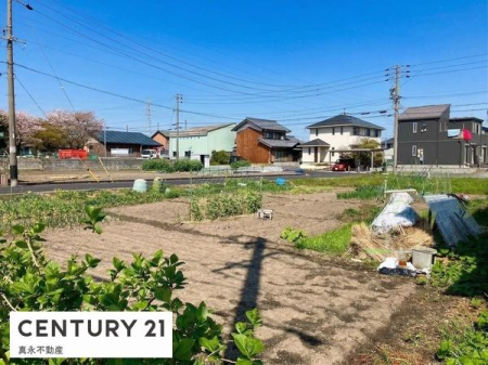 ���n�y�n�ʐ^ -