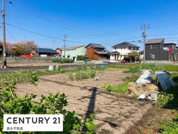 ���n�y�n�ʐ^ -