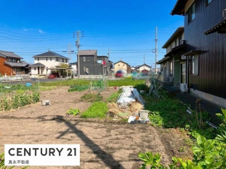 ���n�y�n�ʐ^ -