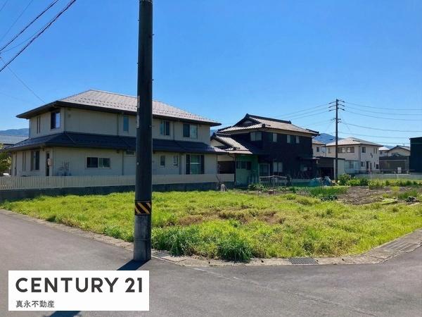 ���n�y�n�ʐ^ -