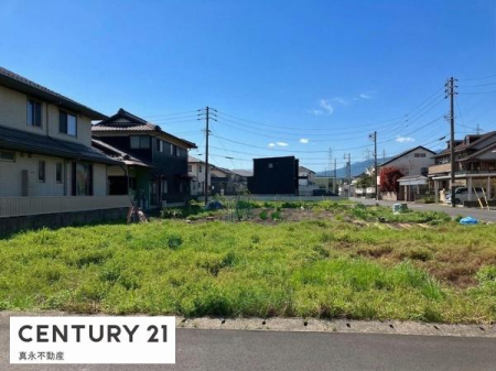 ���n�y�n�ʐ^ -