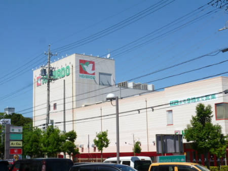 ���ӊ� �y�X�[�p�[�z���a���m�[�X�E�G�X�g�X�F4521�u