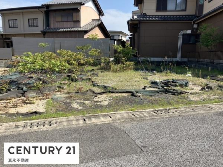 ���n�y�n�ʐ^ -