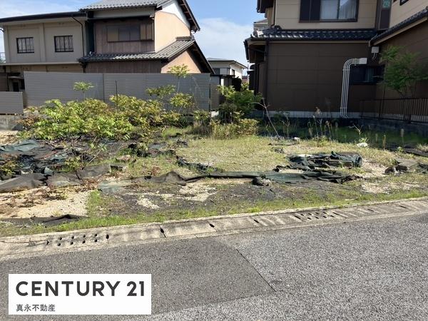 ���n�y�n�ʐ^ -