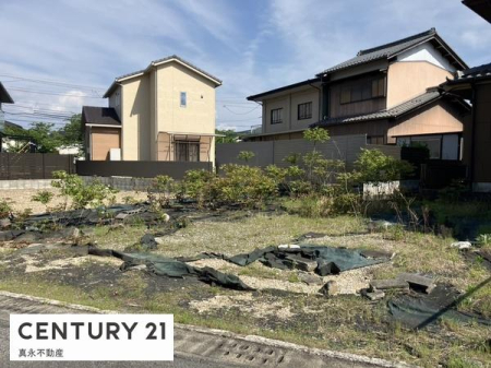 ���n�y�n�ʐ^ -