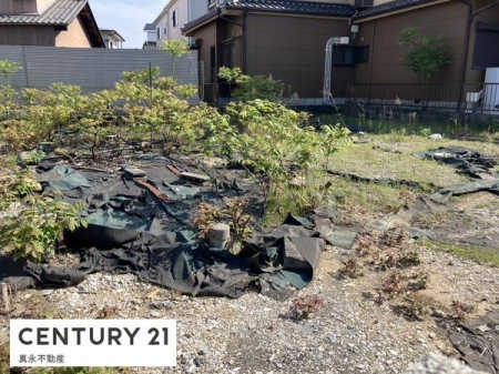 ���n�y�n�ʐ^ -