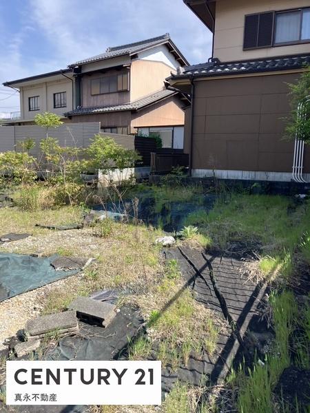 ���n�y�n�ʐ^ -