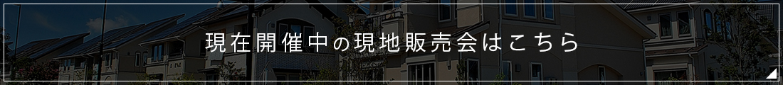 ݊JÒ̌n̔͂